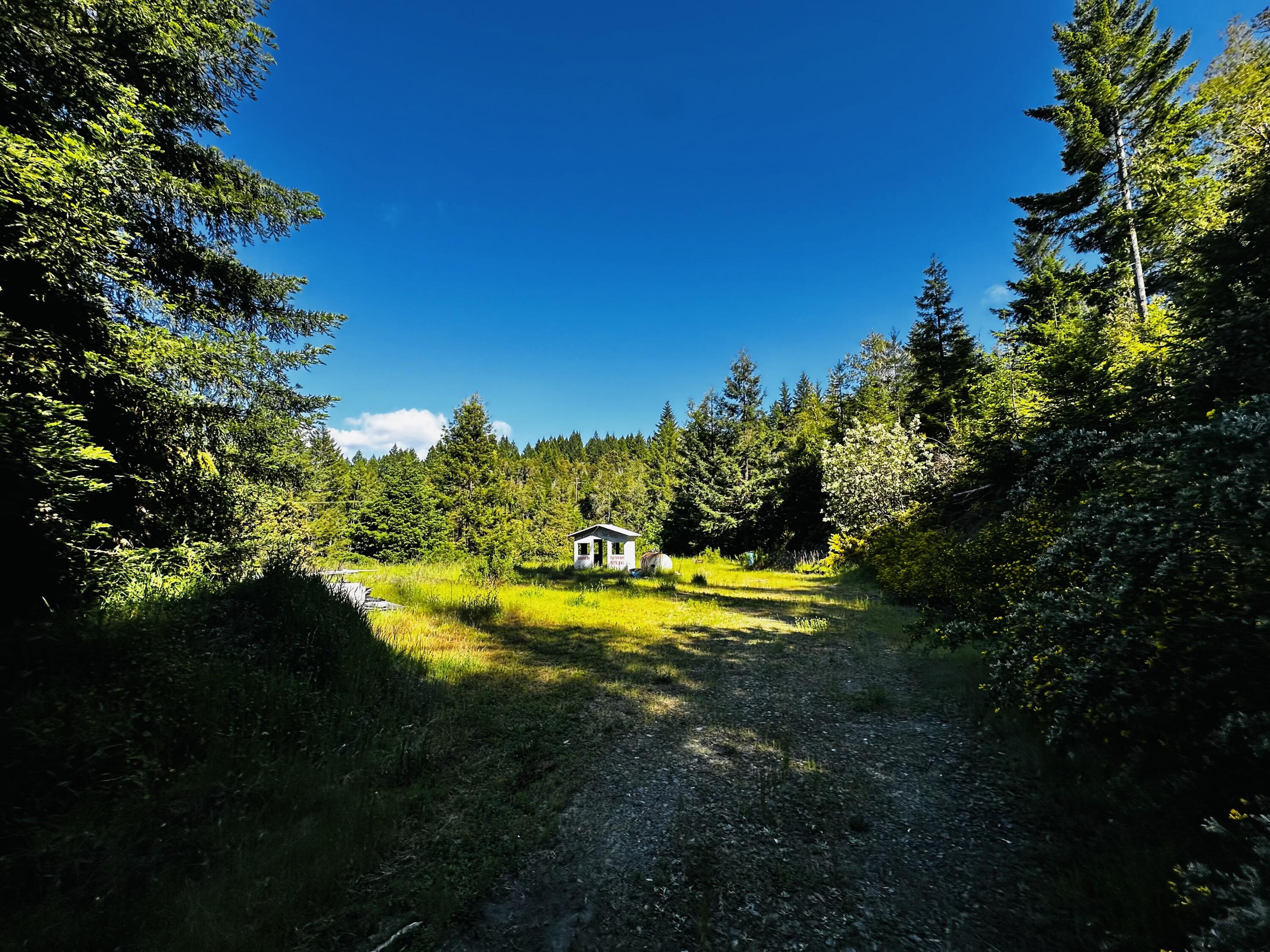 0 Dyerville Loop Road Myers Flat, CA 95554 - Photo 1 of 1 Gallery Image 1
