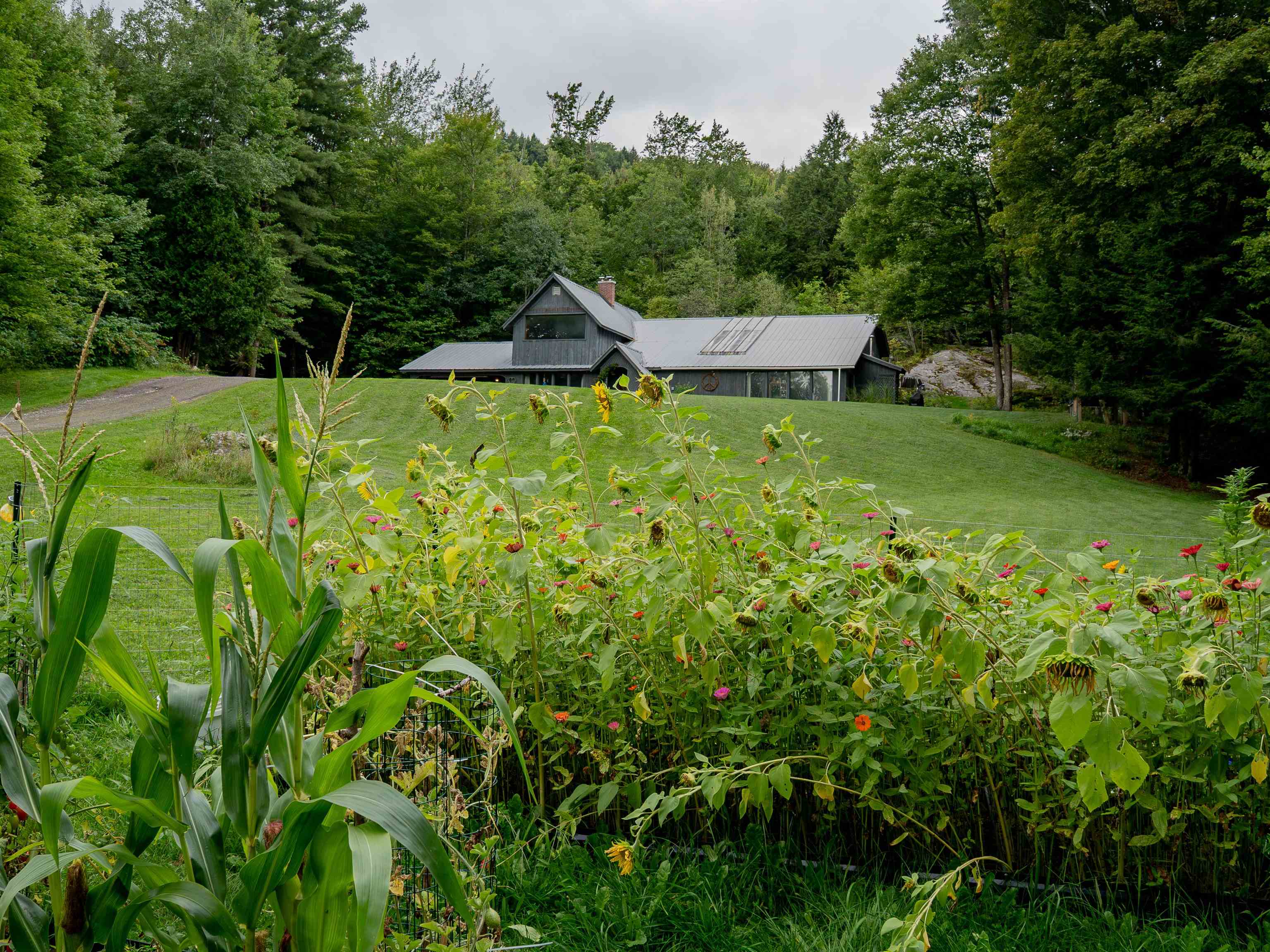 2640 Main Road Huntington, VT 05462 - Photo 4 of 34 Gallery Image 4