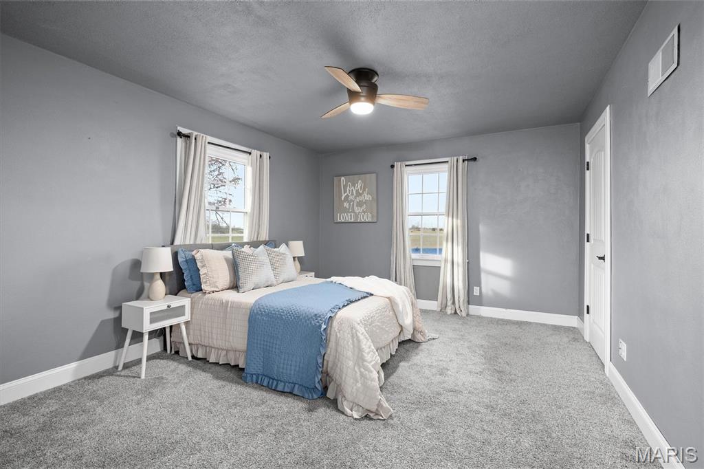 7404 State Rte 4 Worden, IL 62097 - Photo 17 of 50