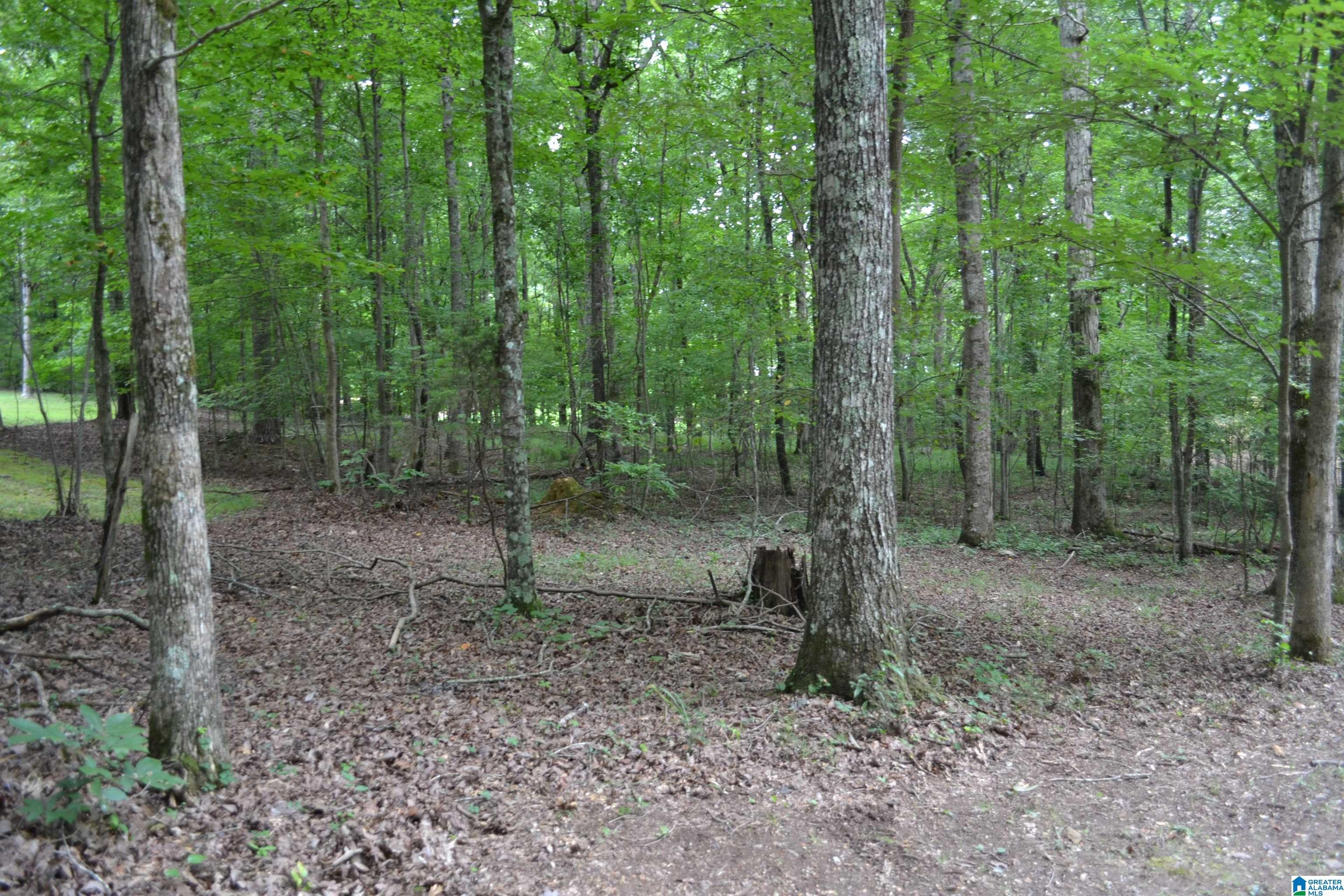 3168 Tidwell Hollow Road Oneonta, AL 35121 - Photo 30 of 78 Gallery Image 30