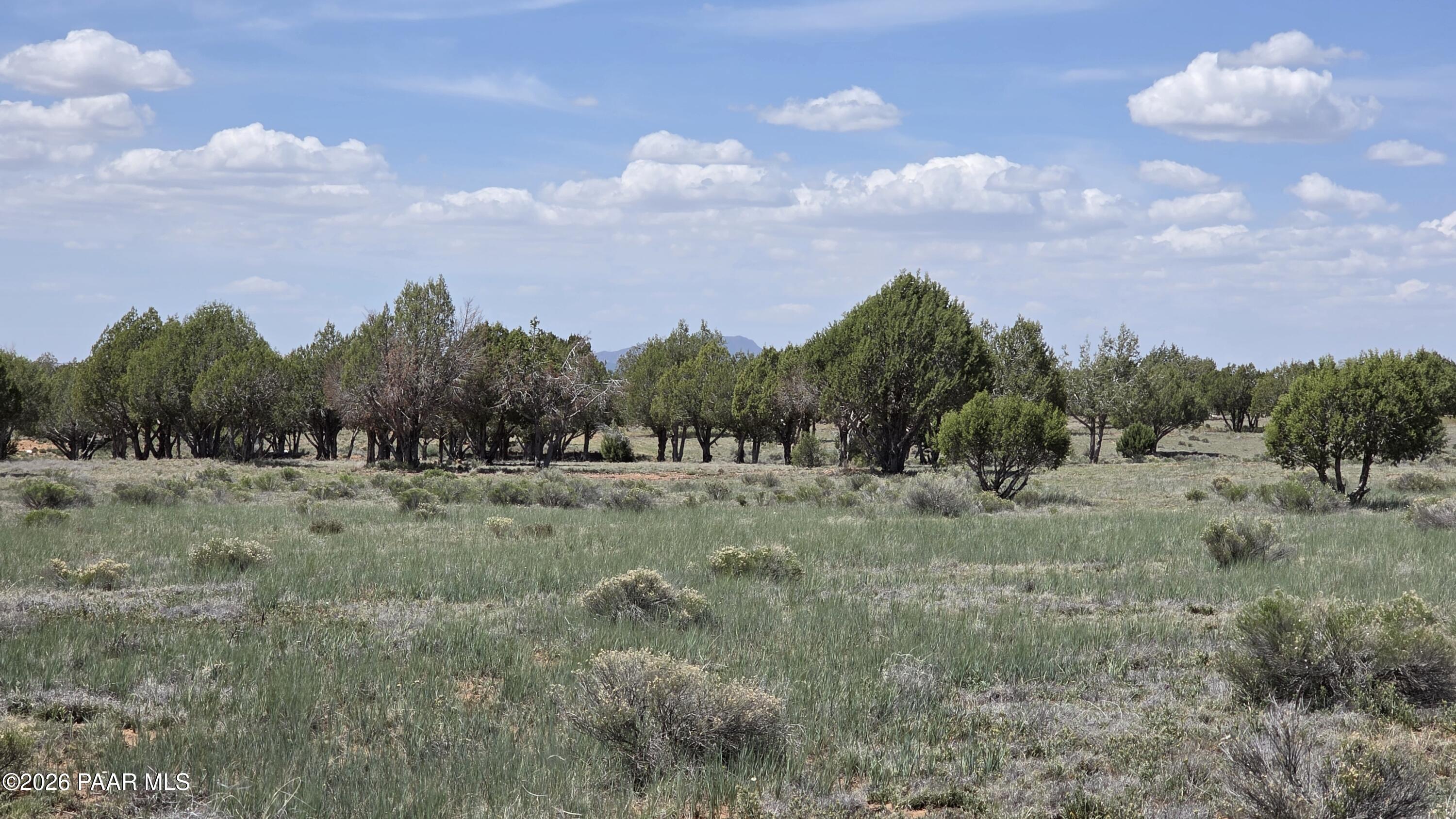 5992 Sevens Ranch Road Williams, AZ 86046 - Photo 16 of 19 20260420_124448