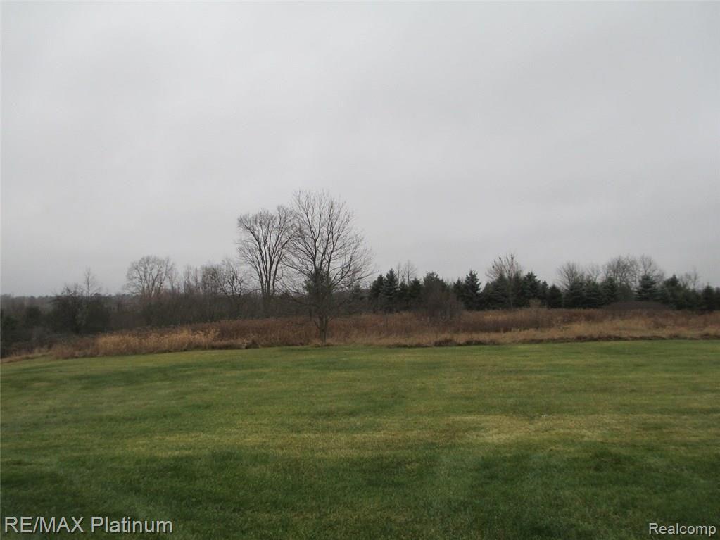9302 Hegel Road Goodrich, MI 48438 - Photo 20 of 47 IMG_4461.JPG