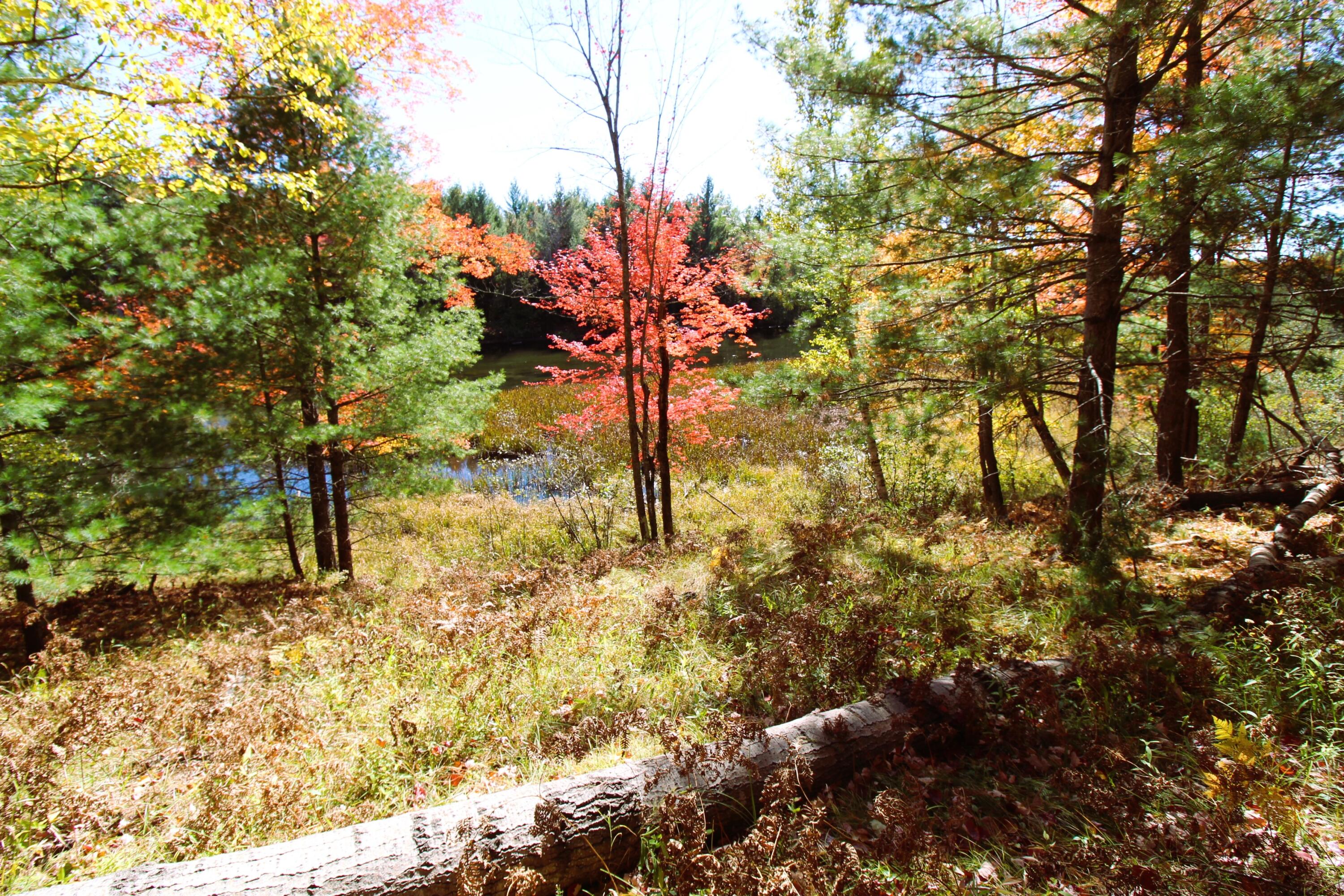 8172 Conners Flat Road Grayling, MI 49738 - Photo 35 of 46 Gallery Image 35