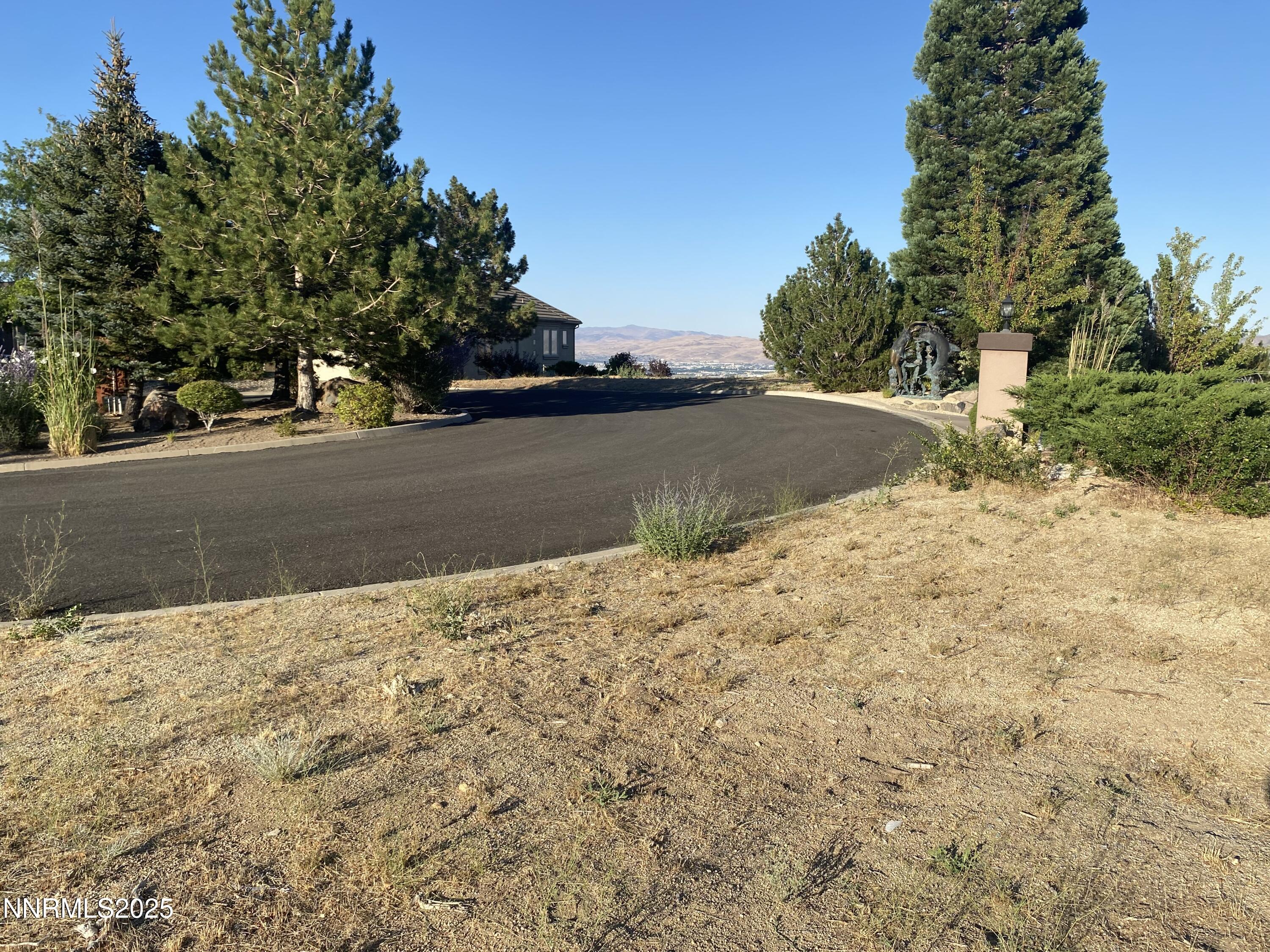 4856 Buckhaven Road Reno, NV 89519 - Photo 3 of 11 a view of a yard with plants and trees