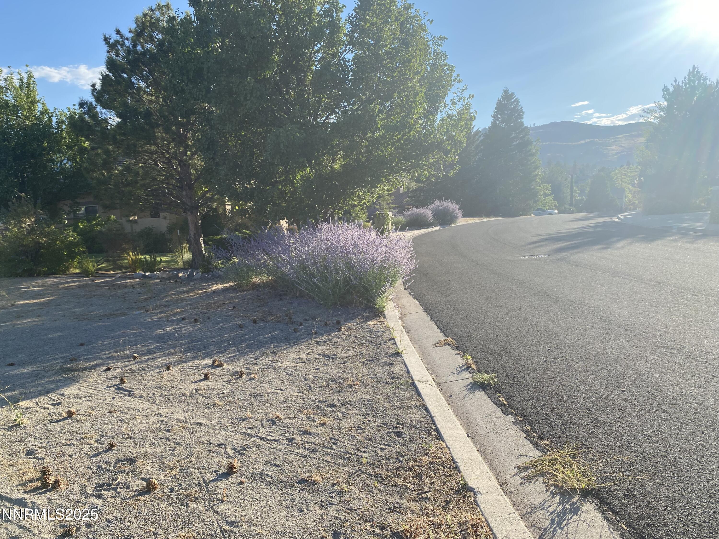 4856 Buckhaven Road Reno, NV 89519 - Photo 5 of 11 a view of a yard