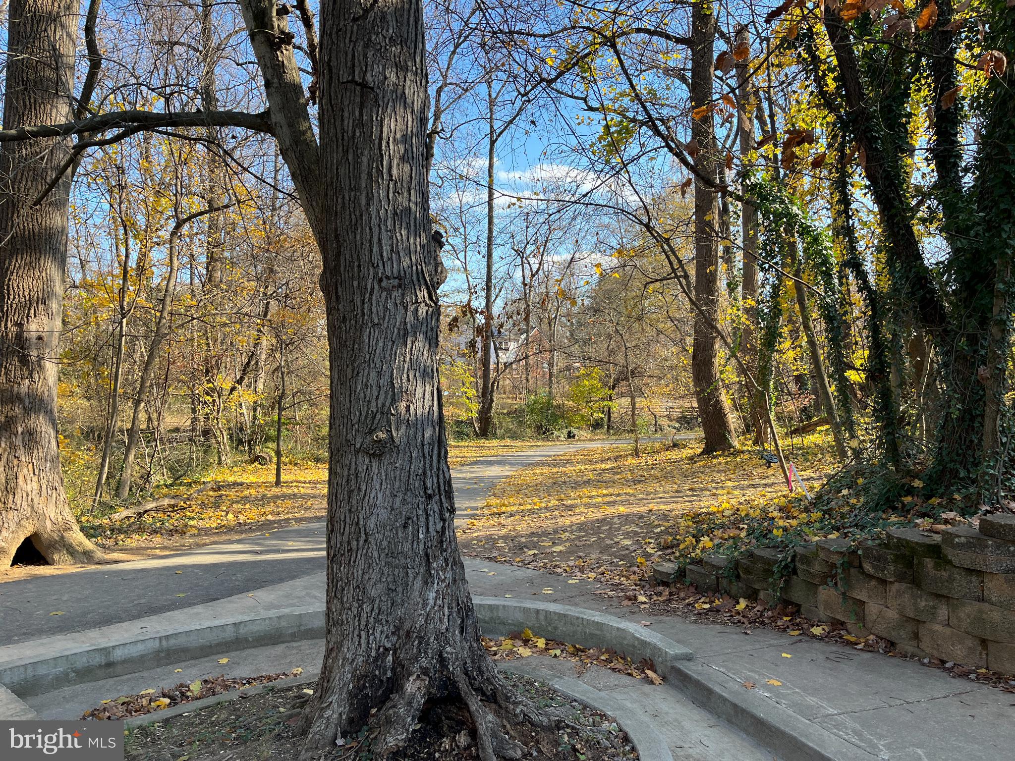 8009 Garland Avenue, Unit 1 Takoma Park, MD 20912 - Photo 17 of 22 Autumn path through a tranquil forest.