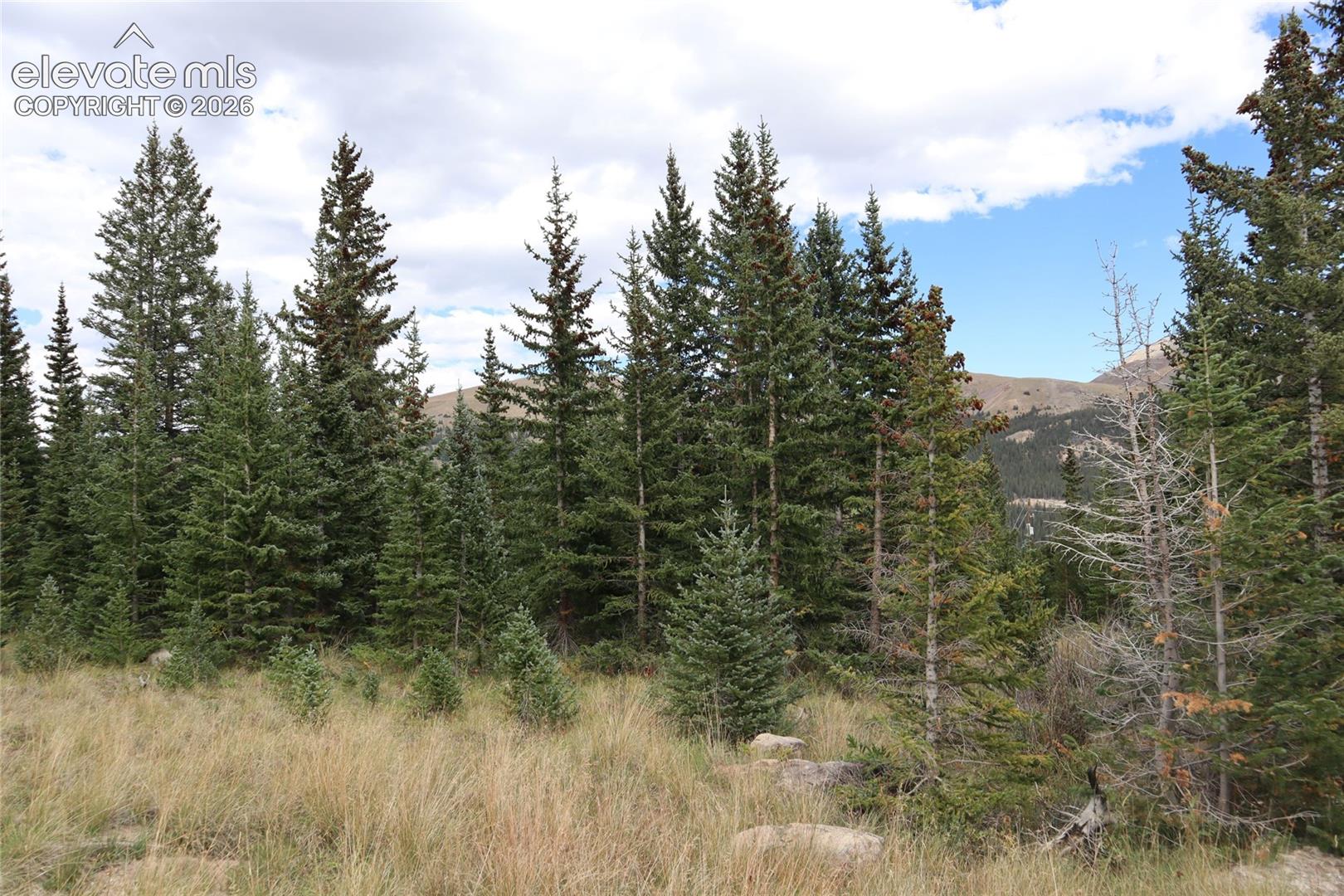 1480 Roberts Road Alma, CO 80420 - Photo 6 of 26 Gallery Image 6