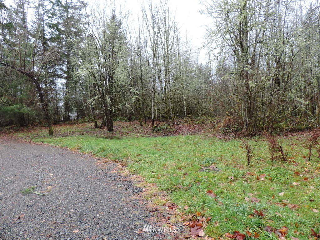 195 Summers Road Centralia, WA 98531 - Photo 4 of 10