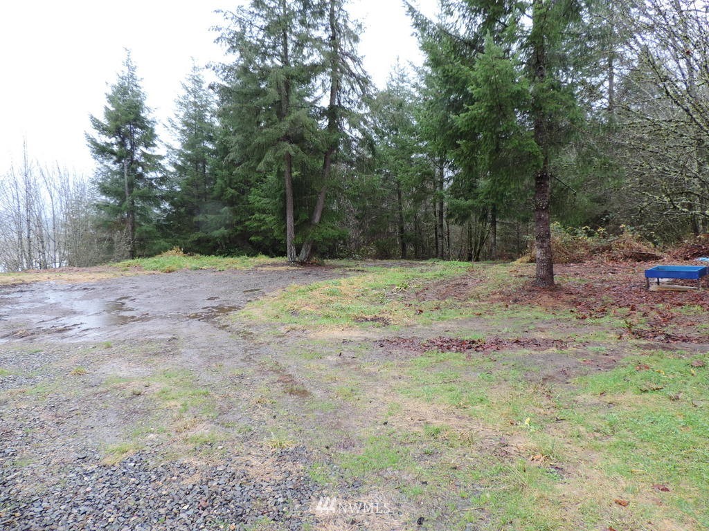 195 Summers Road Centralia, WA 98531 - Photo 5 of 10