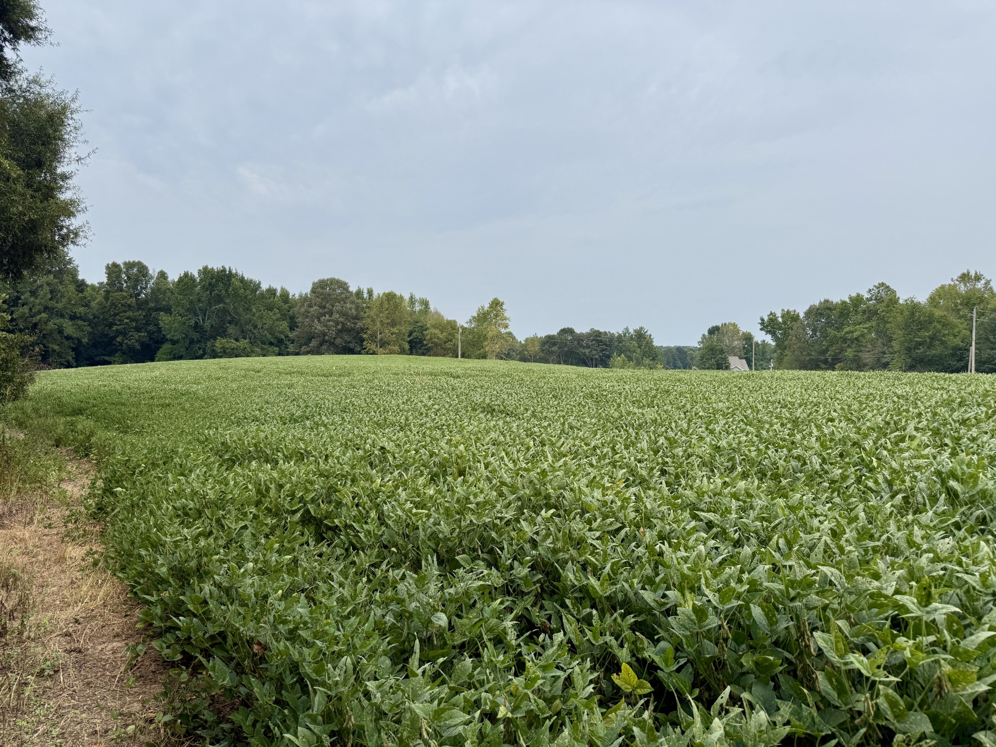 0 Oakdale Road Athens, AL 35613 - Photo 3 of 6 Gallery Image 3