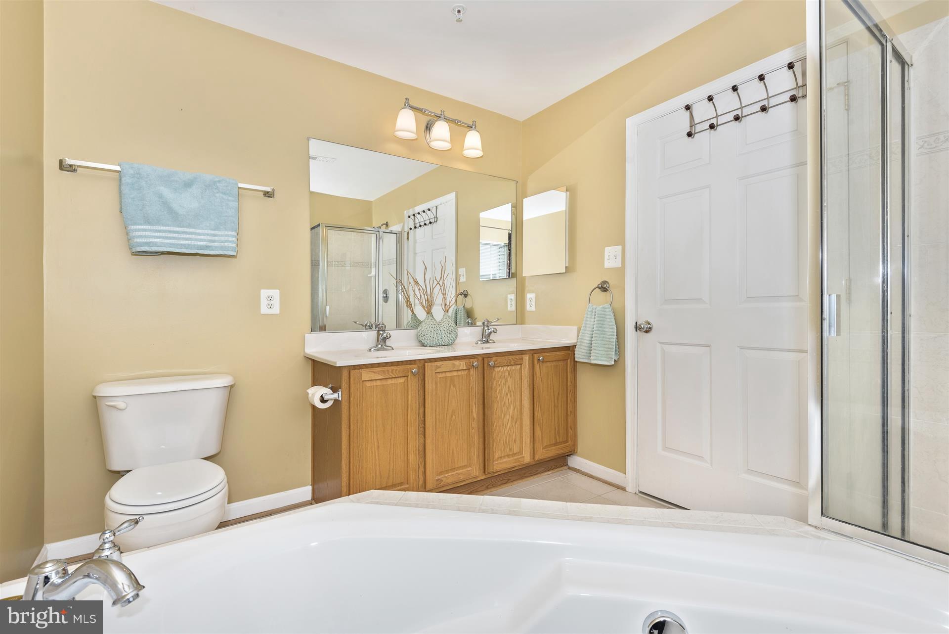 664 Wild Hunt Road Frederick, MD 21703 - Photo 21 of 30 Bath (Master)