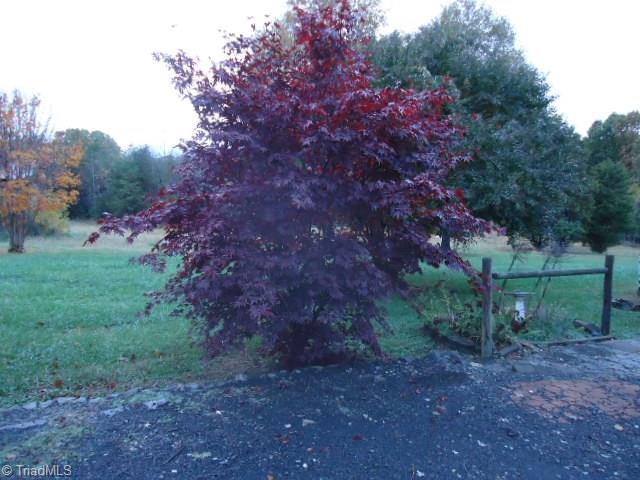 201 Derris Road Stoneville, NC 27048 - Photo 28 of 30 Gallery Image 28