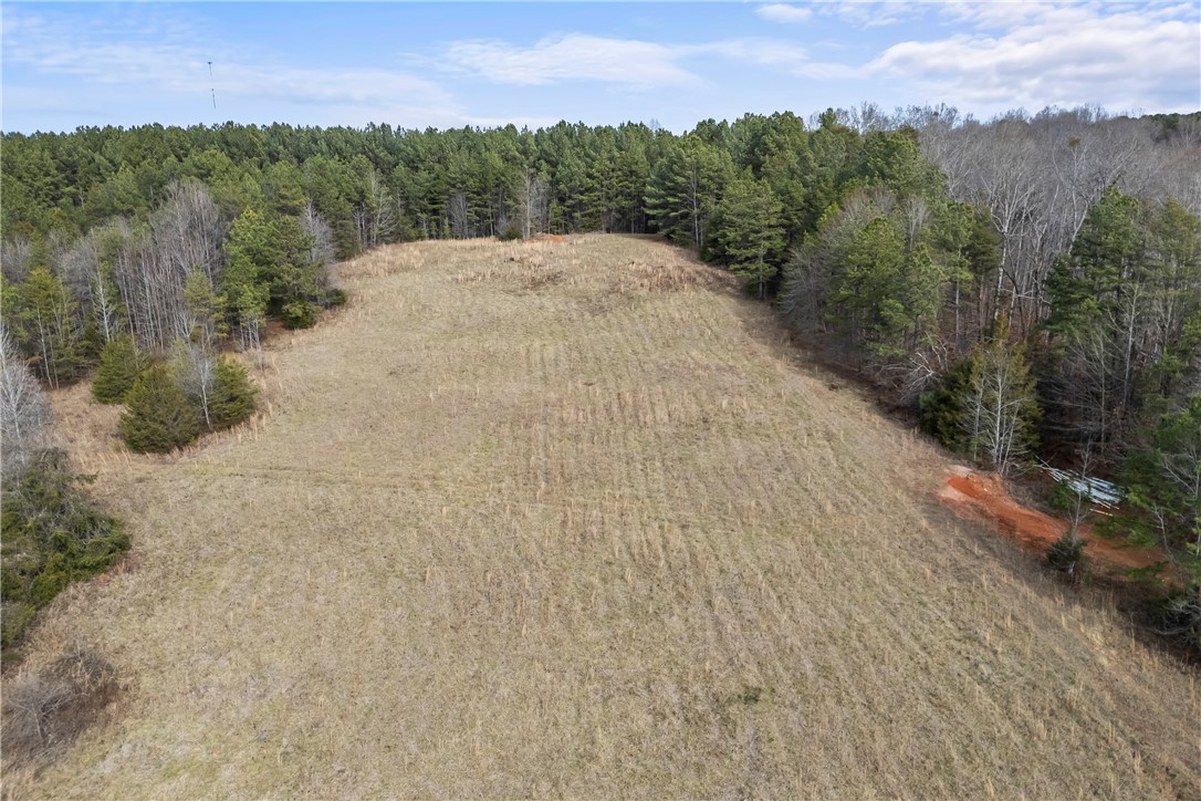 28-acres Water Works Road Walhalla, SC 29691 - Photo 9 of 10