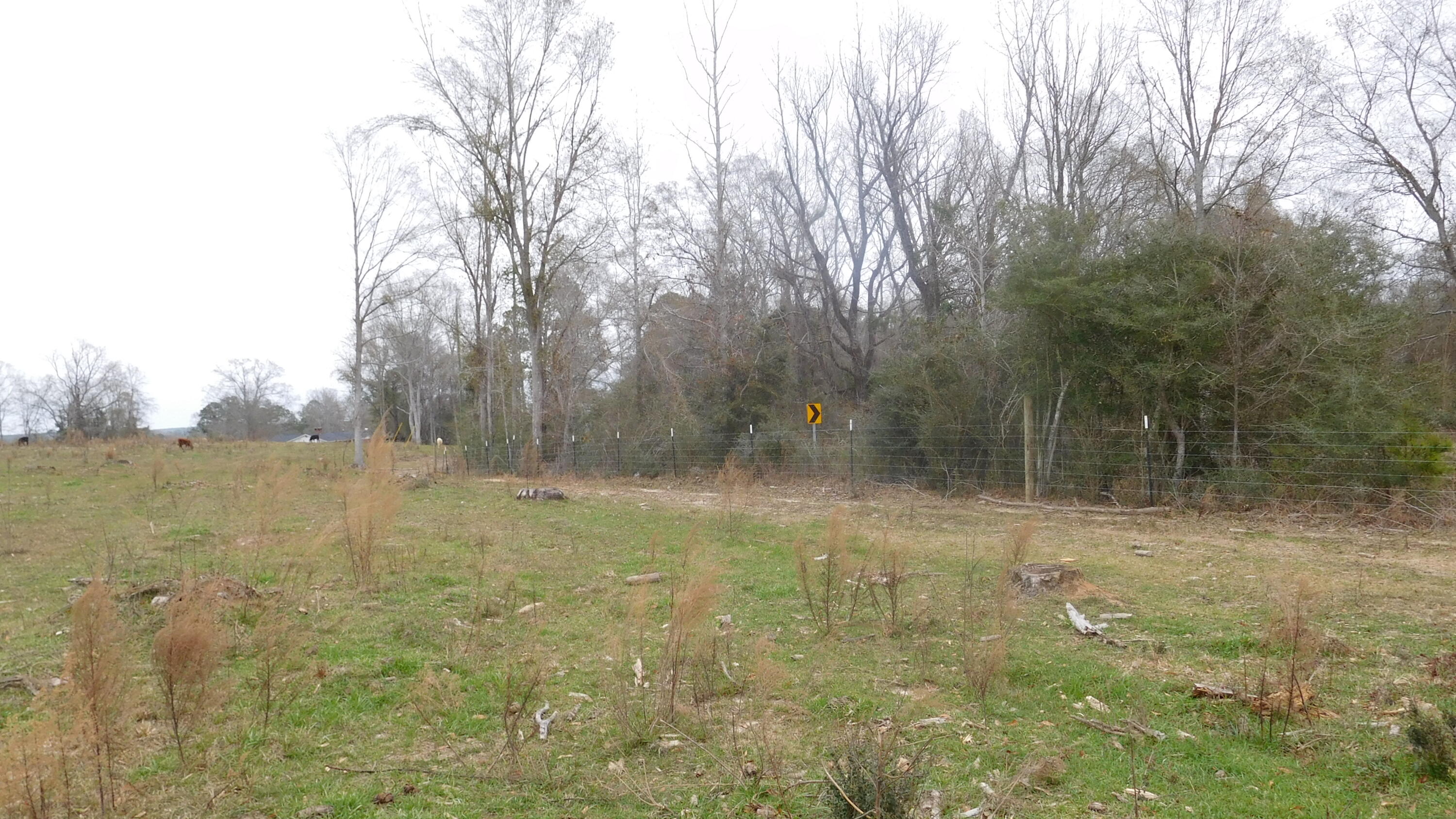17.27-ac North Williamsburg Road Bassfield, MS 39421 - Photo 1 of 1 Gallery Image 1