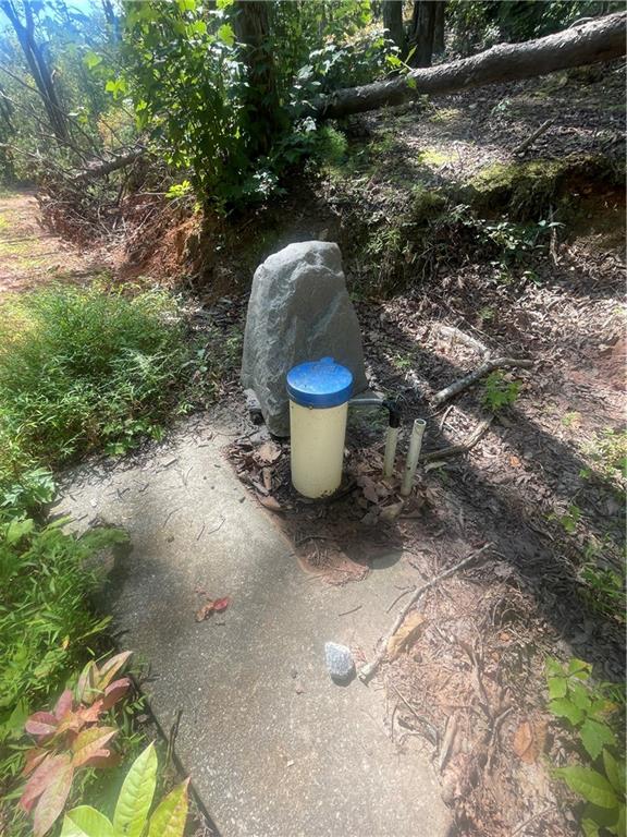 0 Chimney Mountain Road Sautee Nacoochee, GA 30571 - Photo 5 of 9 a view of a backyard that has a fountain and a plants