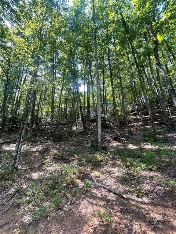0 Chimney Mountain Road Sautee Nacoochee, GA 30571 - Photo 6 of 9 a backyard of a house with lots of green space
