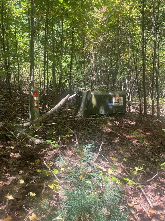 0 Chimney Mountain Road Sautee Nacoochee, GA 30571 - Photo 7 of 9 a view of outdoor space and yard
