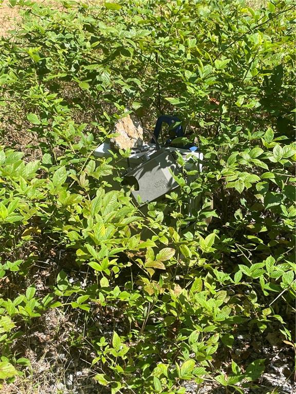 0 Chimney Mountain Road Sautee Nacoochee, GA 30571 - Photo 8 of 9 a view of a tree