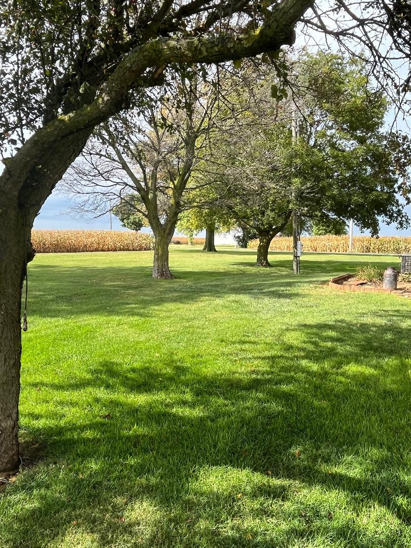 1532 North 2250th Road Ottawa, IL 61350 - Photo 9 of 38 a yard with swimming pool and green space