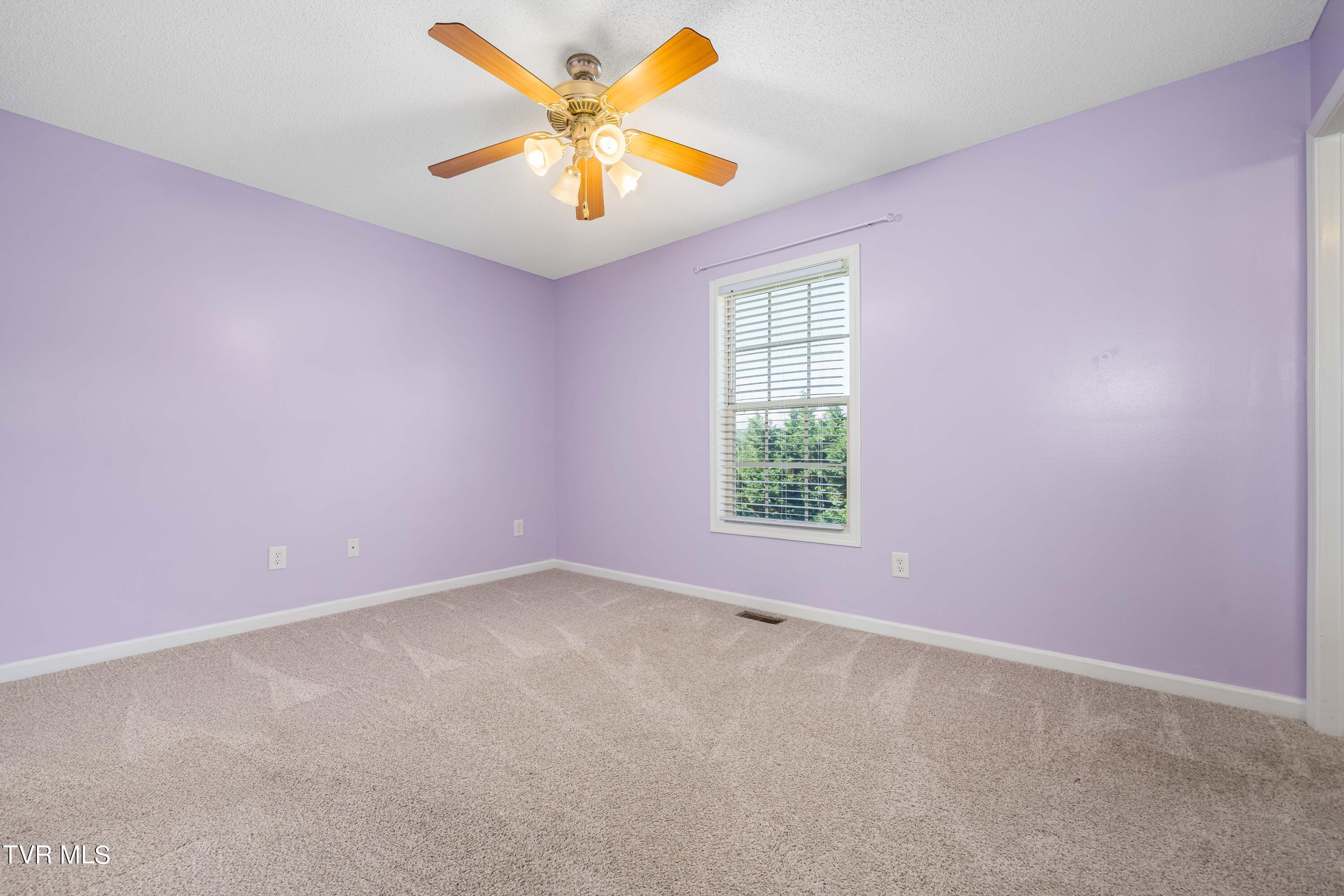 213 New Hope Road Jonesborough, TN 37659 - Photo 21 of 41 213 New Hope Rd (35 of 44)