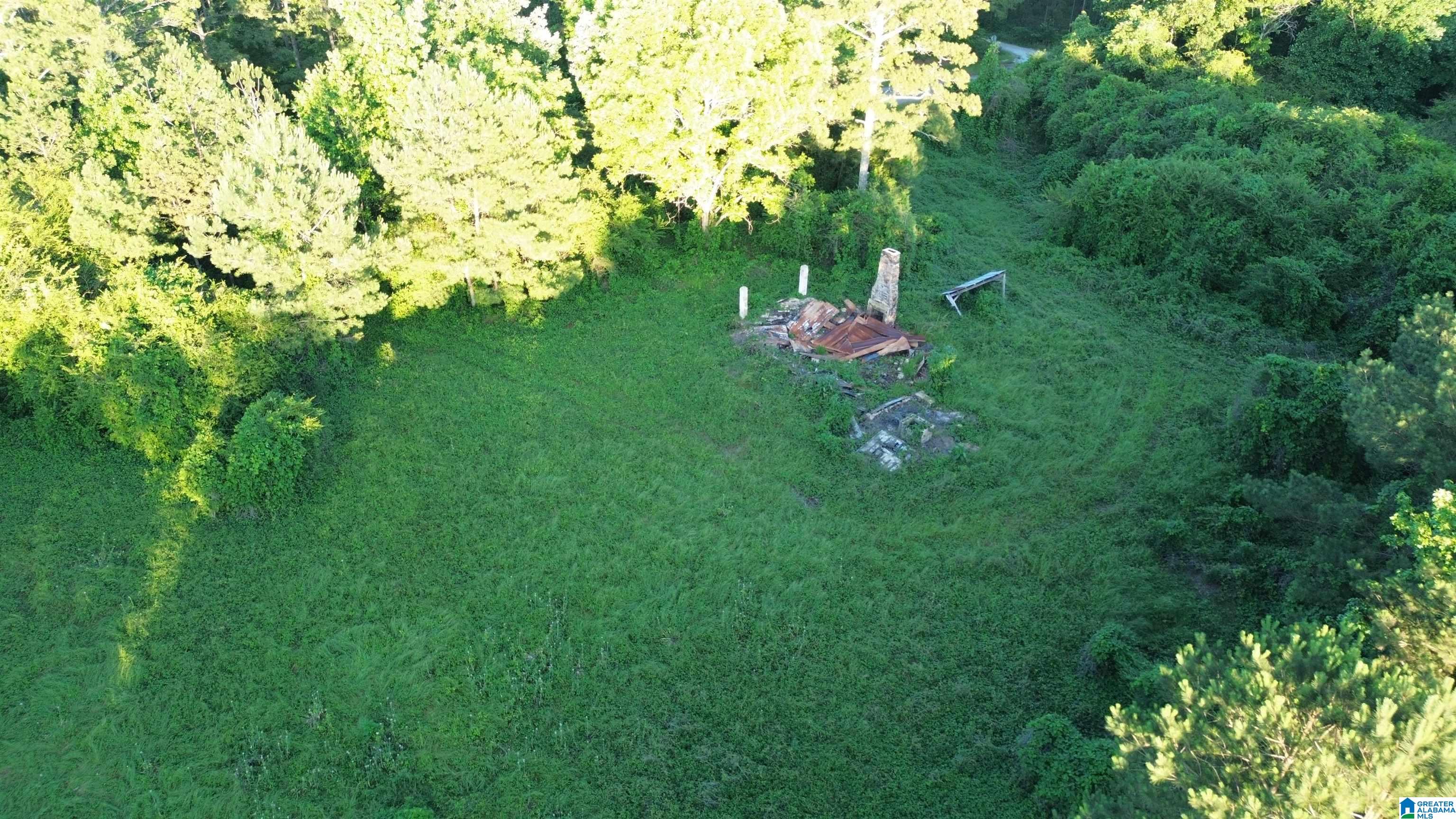 0 Bluff Springs Road Ashland, AL 36251 - Photo 7 of 8