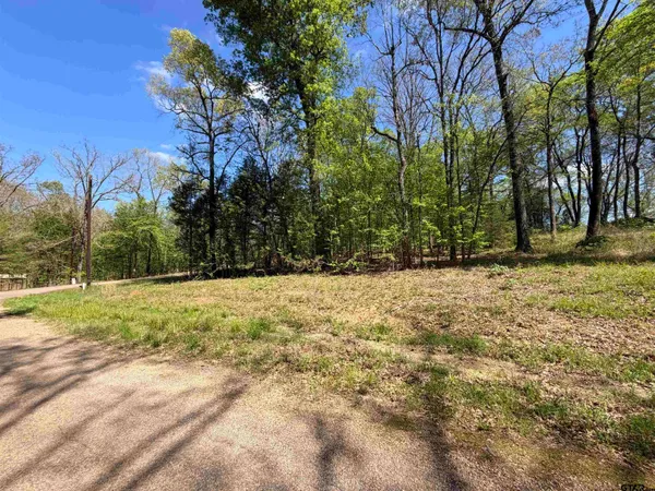 $30,000 | Lot 1-2 Pelican Drive, Scroggins, TX 75480