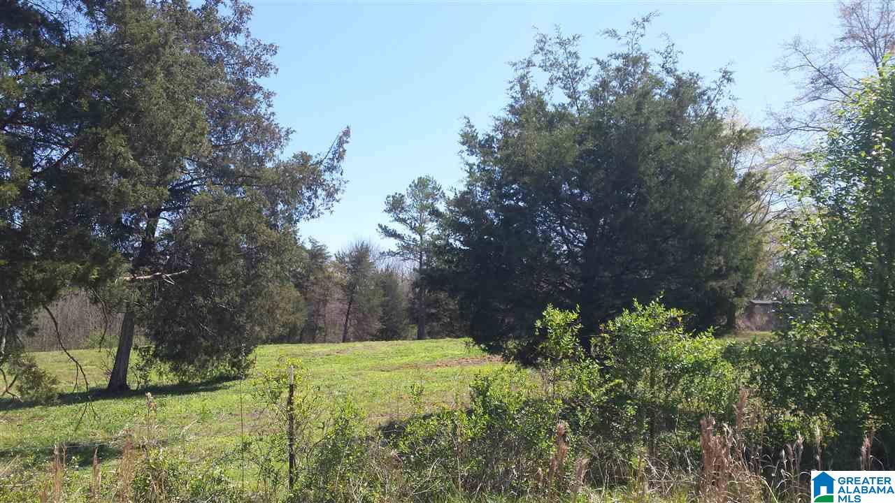 Double Bridge Road, Unit 16 Steele, AL 35987 - Photo 7 of 44