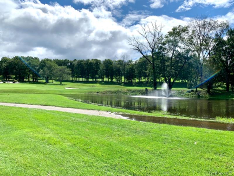 20 Fox Ridge Woodridge, NY 12789 - Photo 24 of 24 View of home's community with a yard, a water view, and view of wooded area