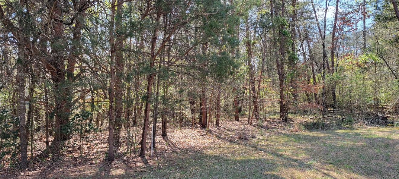 210 Cedar Ridge Drive Westminster, SC 29693 - Photo 4 of 23 Gallery Image 4