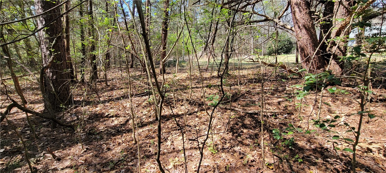 210 Cedar Ridge Drive Westminster, SC 29693 - Photo 8 of 23 Half the land is already cleared