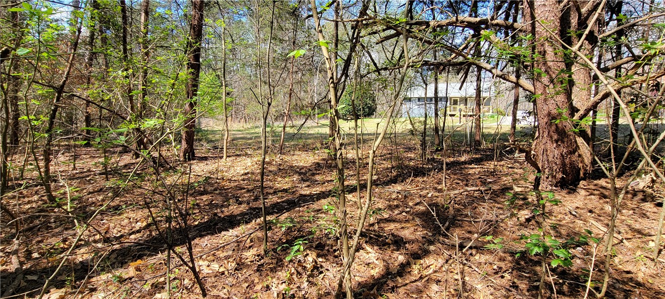 210 Cedar Ridge Drive Westminster, SC 29693 - Photo 9 of 23 View from the middle of the land