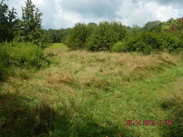 2074 Creek Road Cooperstown, PA 16317 - Photo 11 of 11 Gallery Image 11