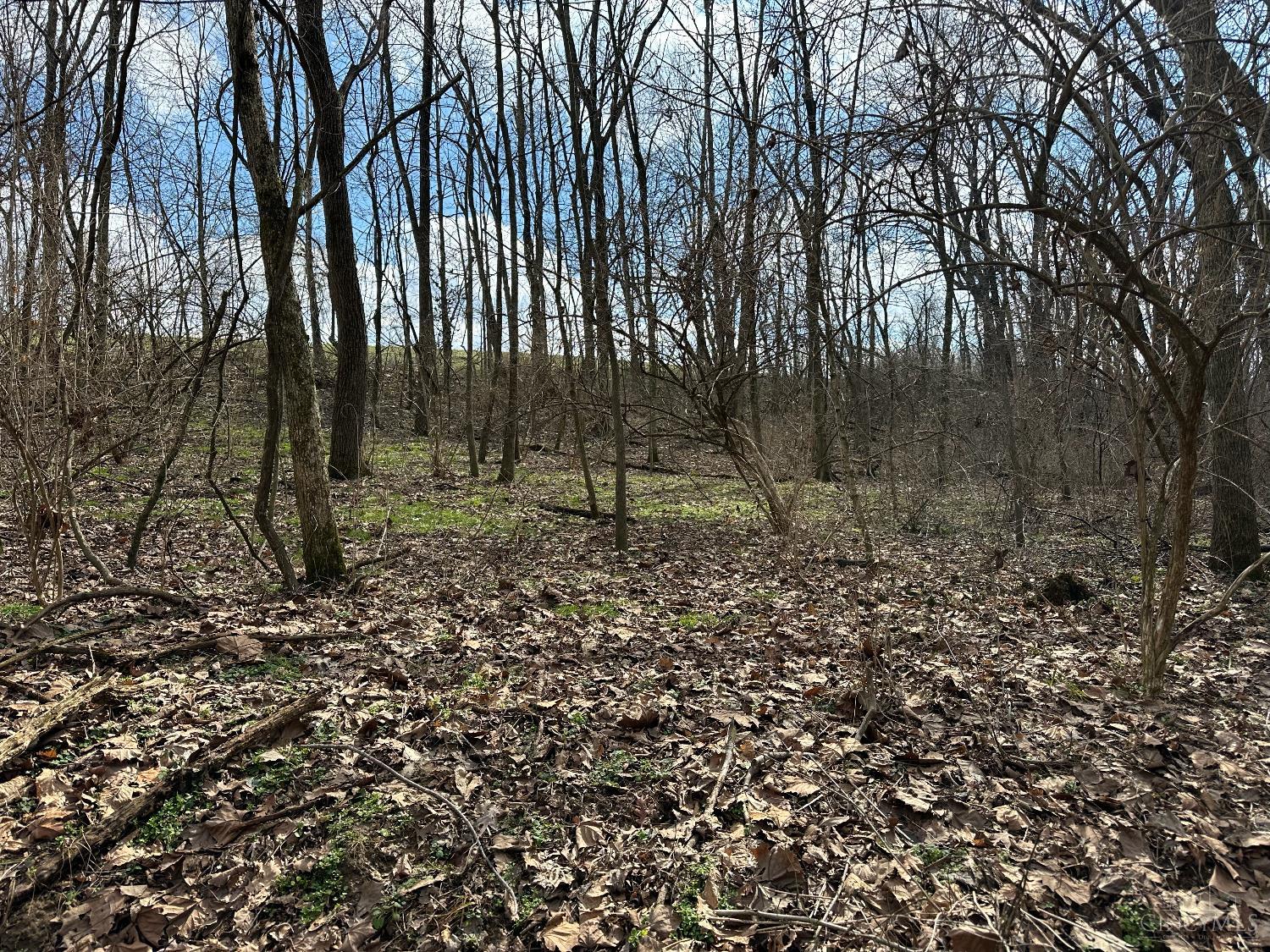 0 Wilson Road Winchester, OH 45697 - Photo 50 of 69