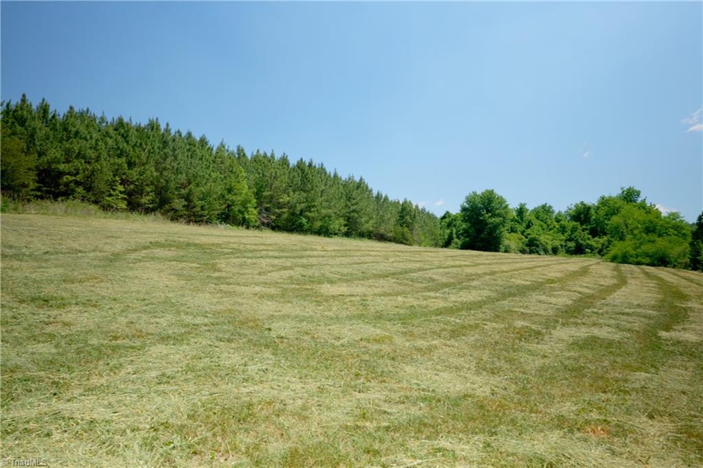 4 Morrison Road Morganton, NC 28655 - Photo 4 of 10
