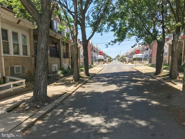 a view of street with large tree
