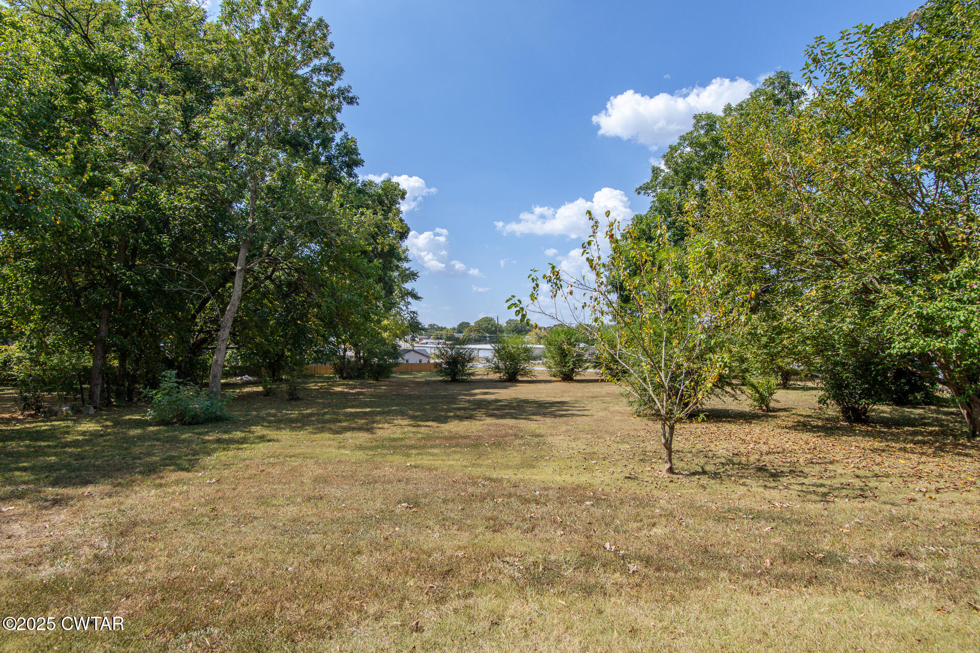 142 South Poplar Street Dyer, TN 38330 - Photo 26 of 28 a view of dirt yard with a trees