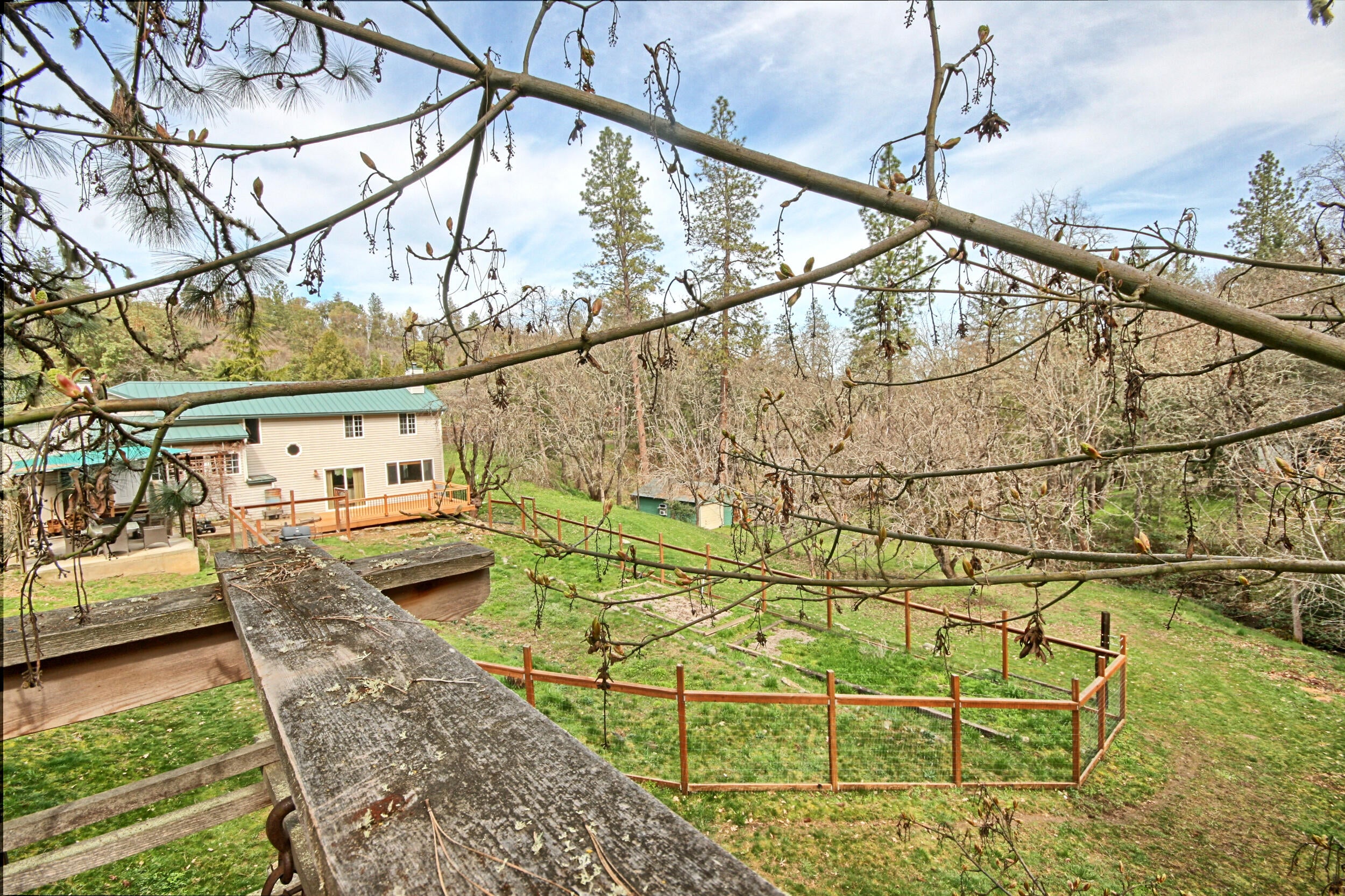 5355 Coleman Creek Road Medford, OR 97501 - Photo 61 of 76 view from treehouse