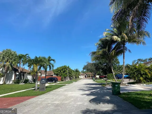 a view of a park with palm trees