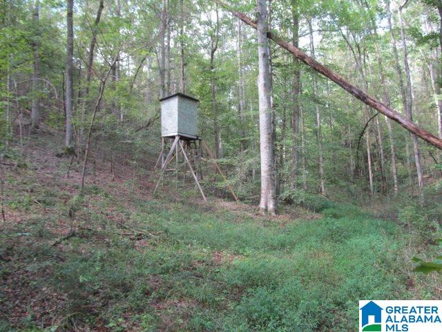 79 Highway 79, Unit 33 Cleveland, AL 35049 - Photo 6 of 32