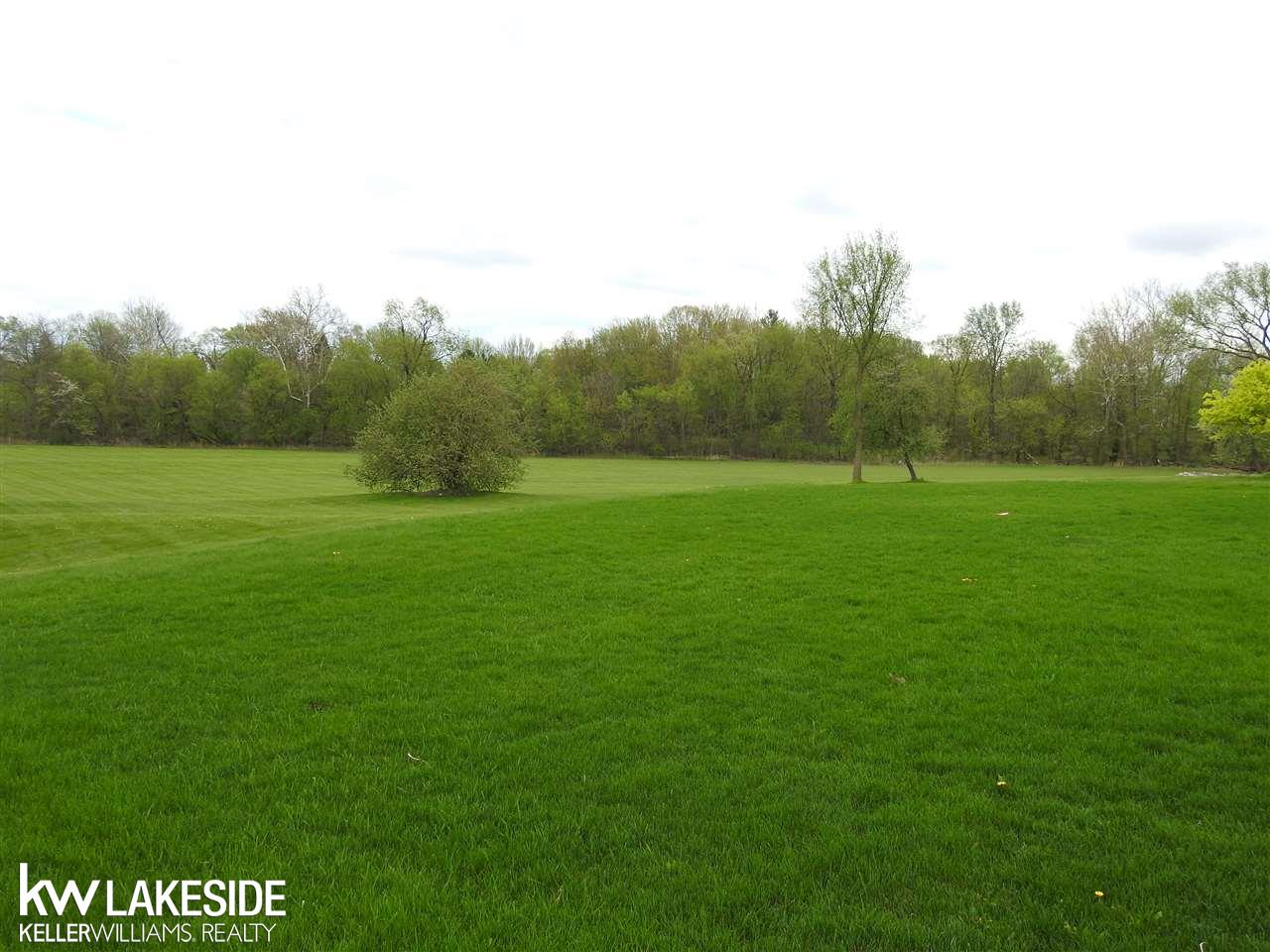 22494 Brantingham Road Macomb, MI 48044 - Photo 43 of 43 31344849-42.JPG