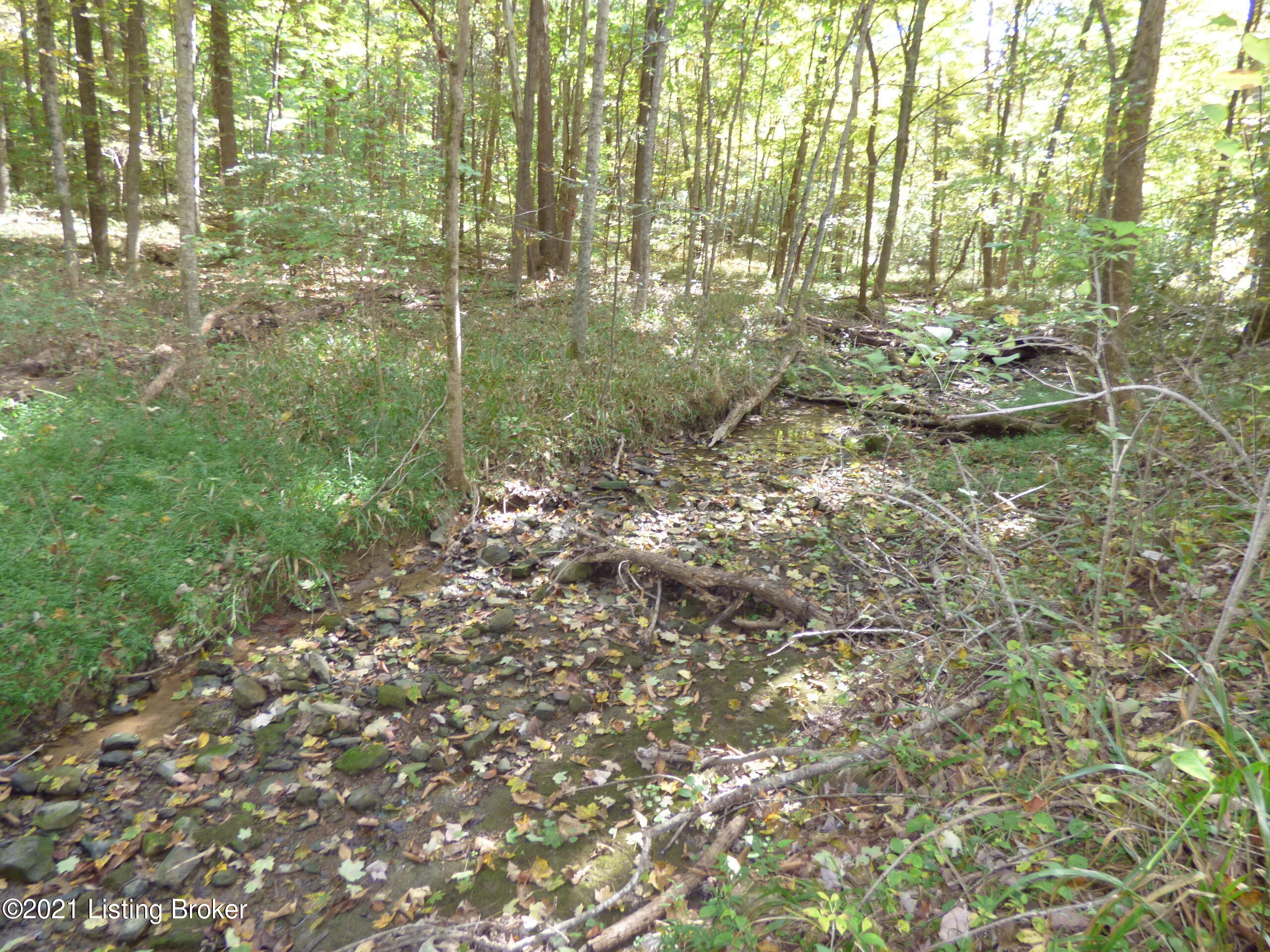 240 East Indian Stone Road Shepherdsville, KY 40165 - Photo 36 of 54 P1330268