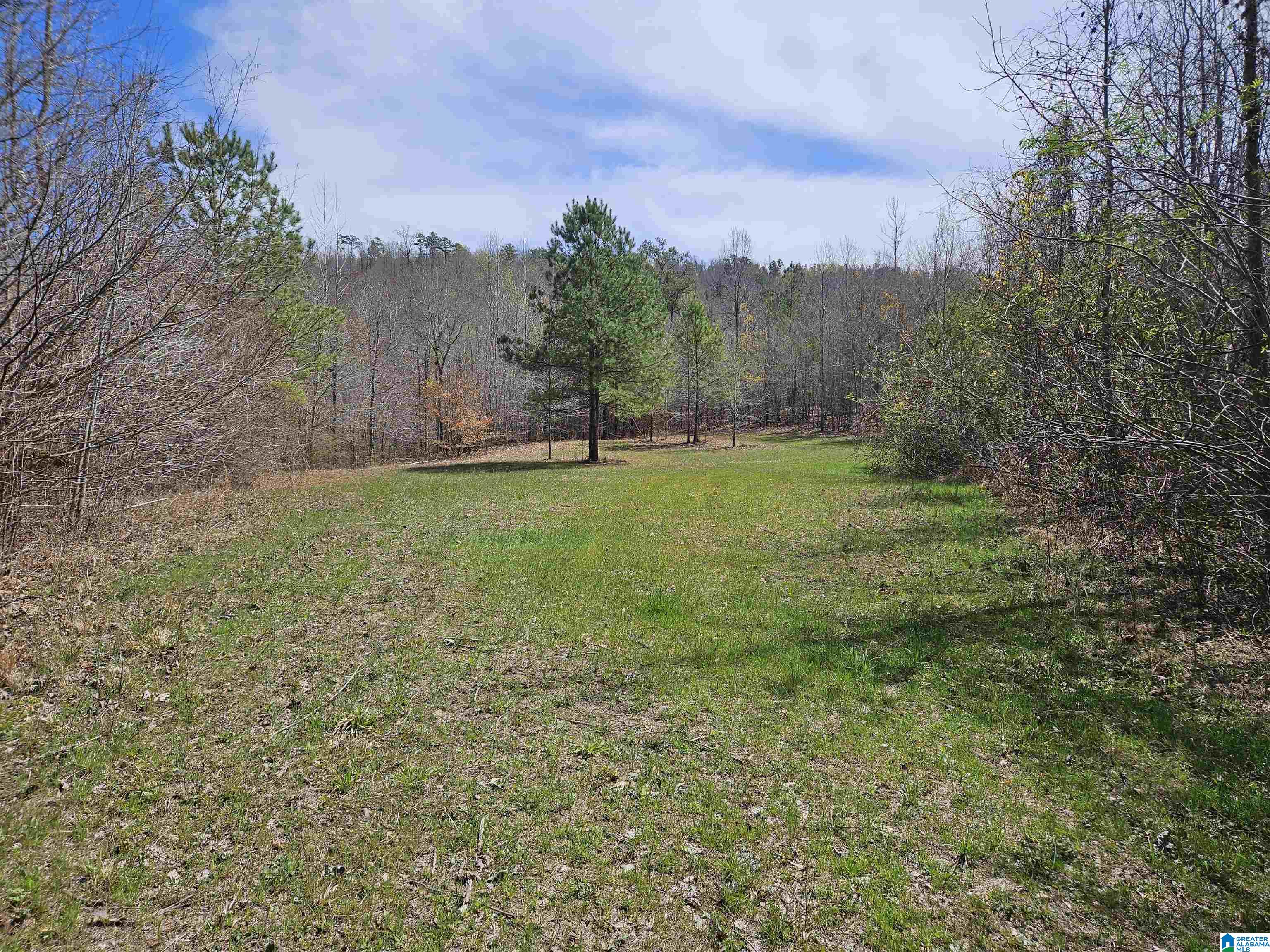 0 Shoal Creek Road Ragland, AL 35131 - Photo 4 of 22 Gallery Image 4