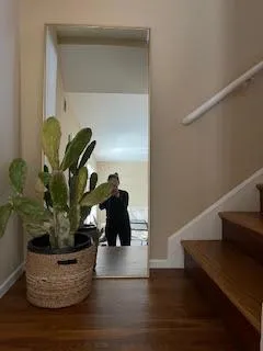 a view of a living room with furniture and a potted plant