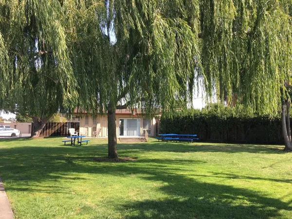a view of a lake with houses in the background
