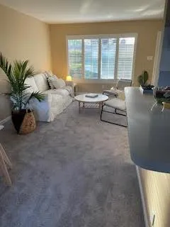 a living room with furniture and a potted plant