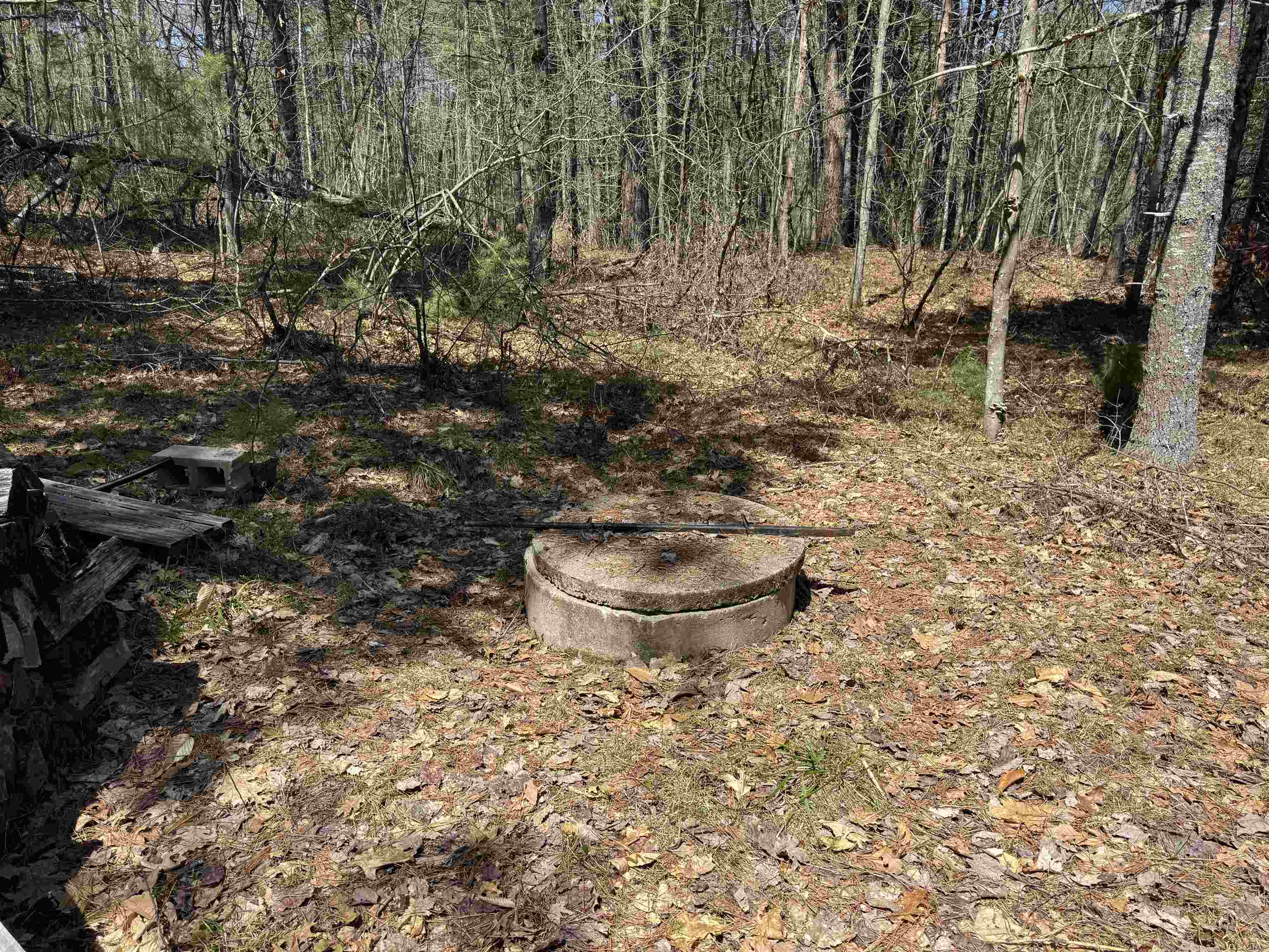 25 Blueberry Road Ossipee, NH 03814 - Photo 9 of 44