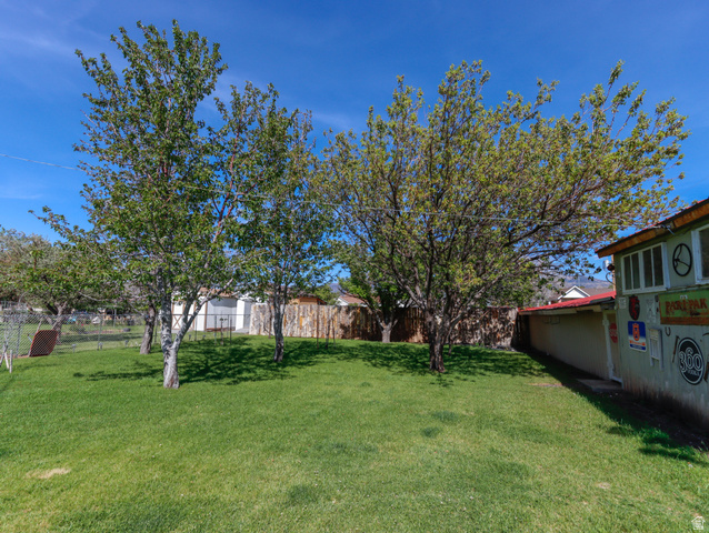 155 West Center Street Fillmore, UT 84631 - Photo 76 of 86 Fruit trees