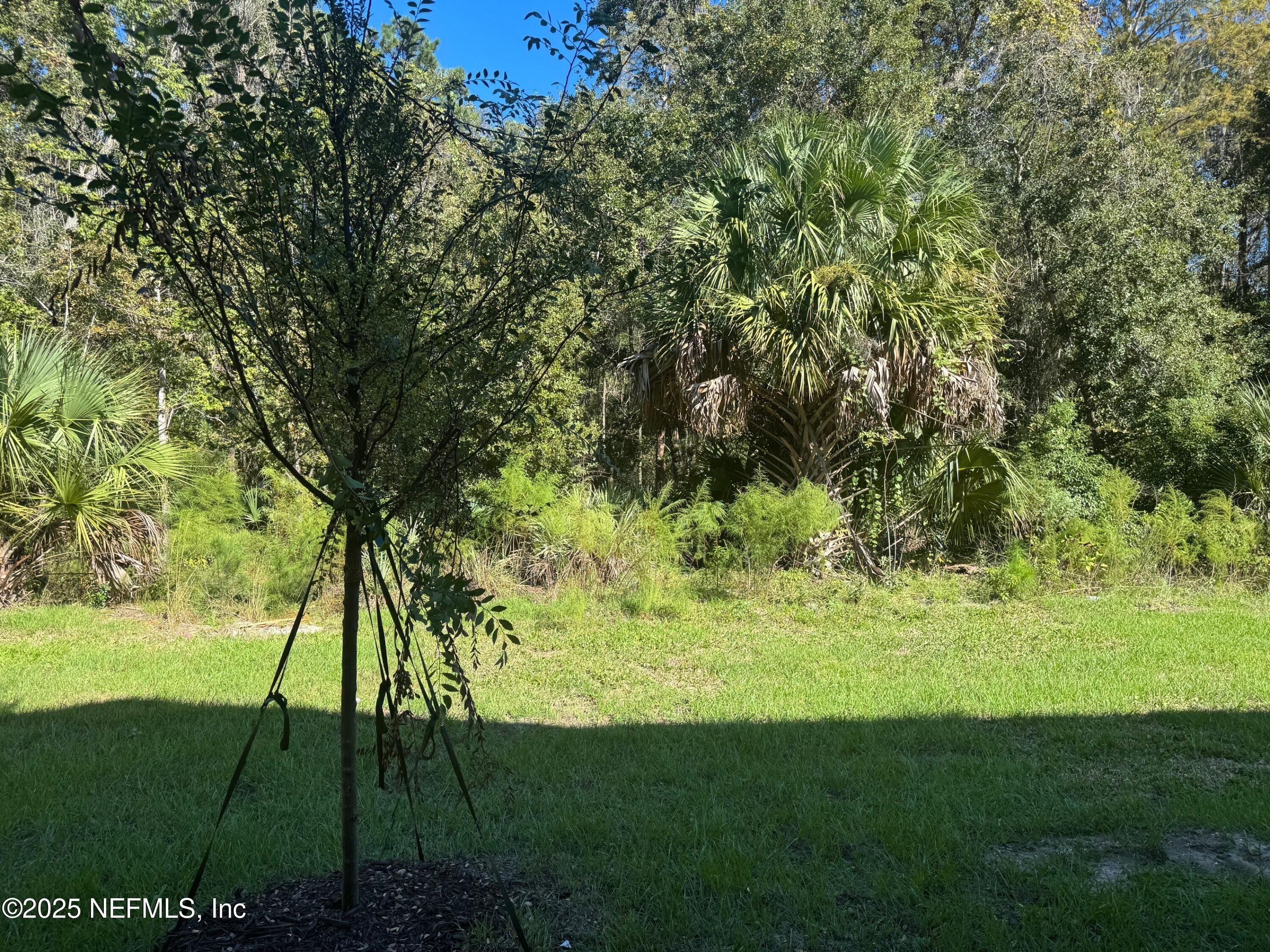 65 Blue Hvn Road St. Augustine, FL 32095 - Photo 25 of 57 a backyard of a house with a yard and outdoor seating