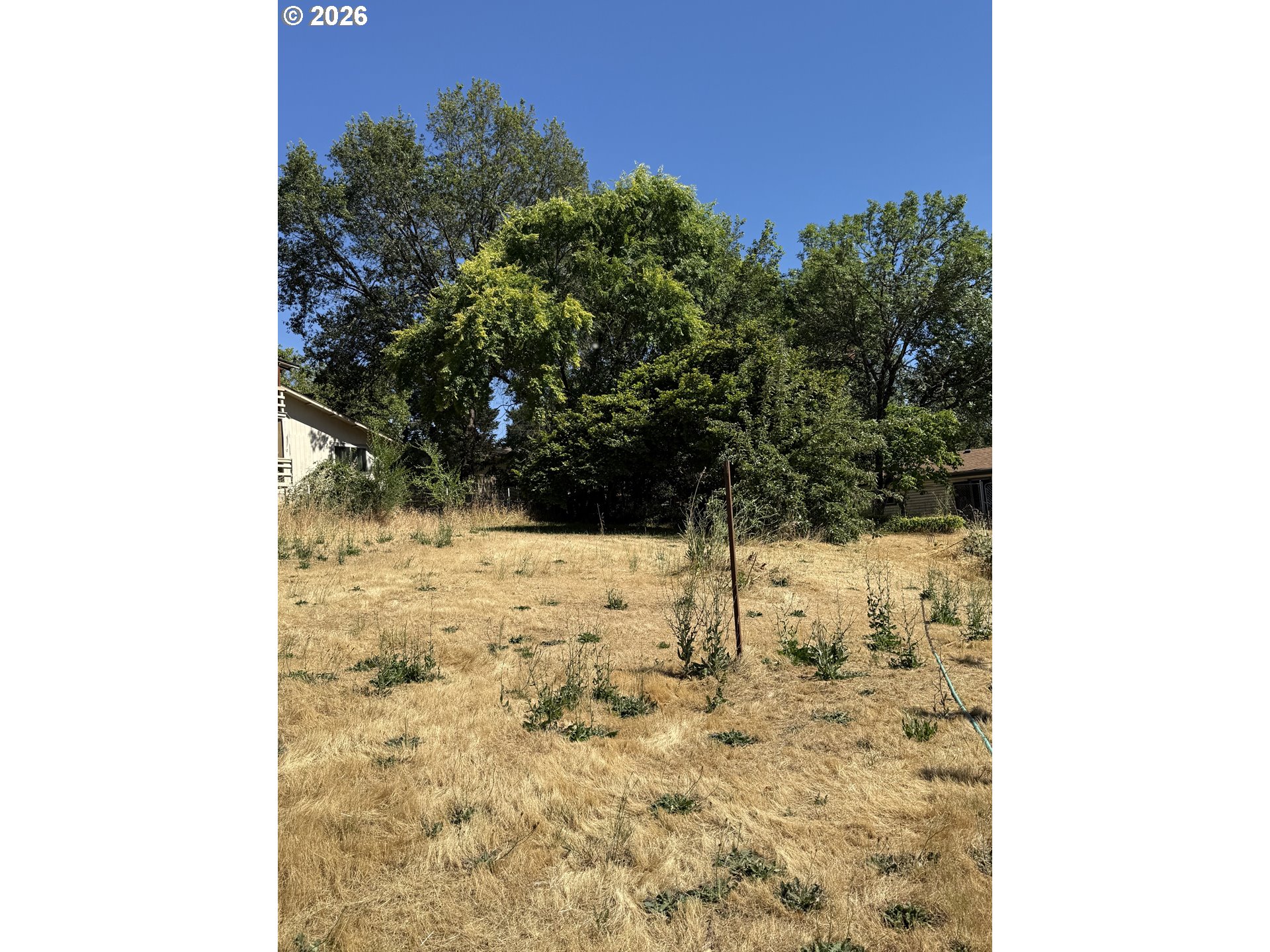 150 Southwest Brantley Drive Winston, OR 97496 - Photo 15 of 16 Backyard