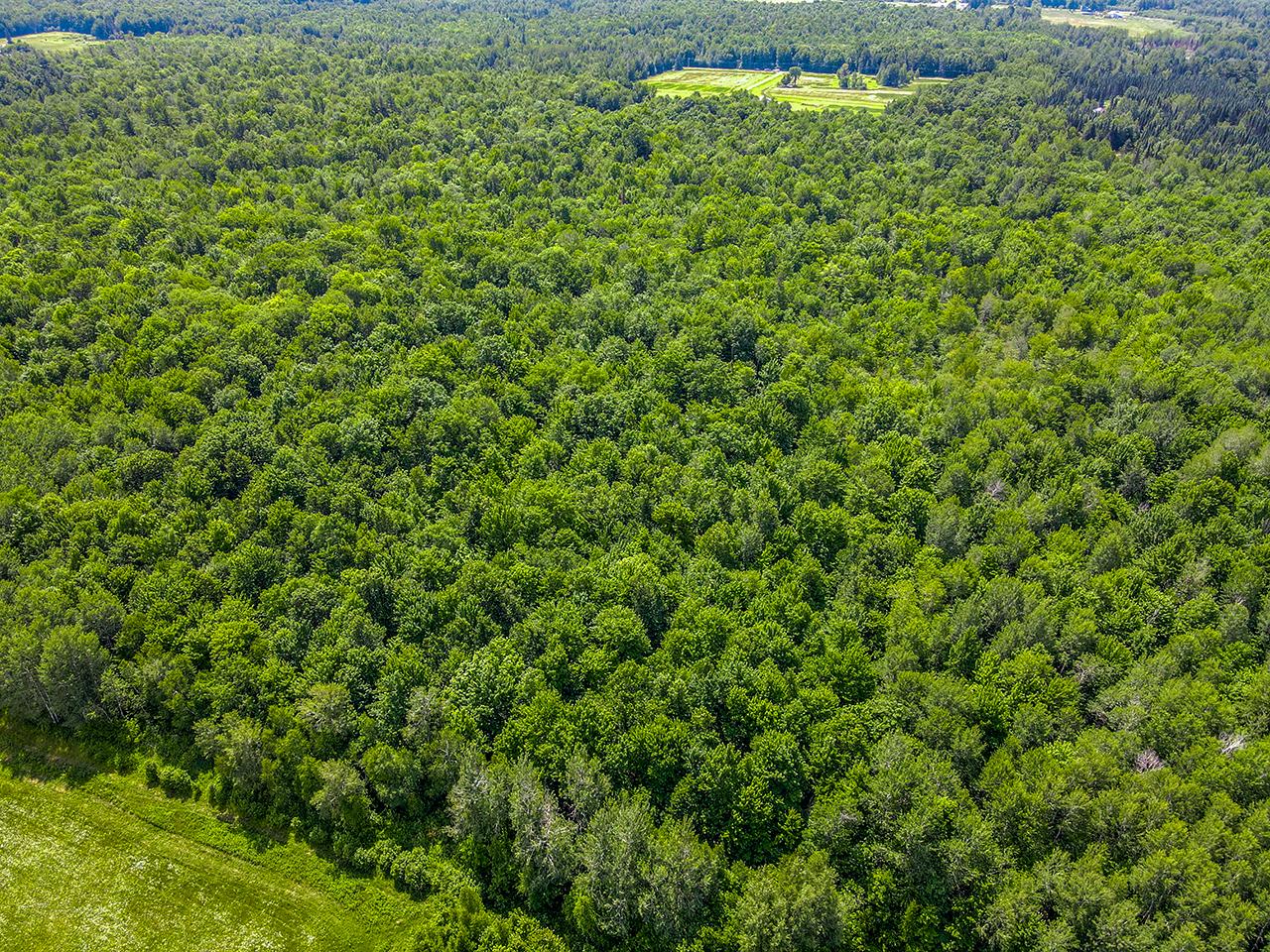 W5844 Otteson Road Ogema, WI 54459 - Photo 23 of 36 Gallery Image 23